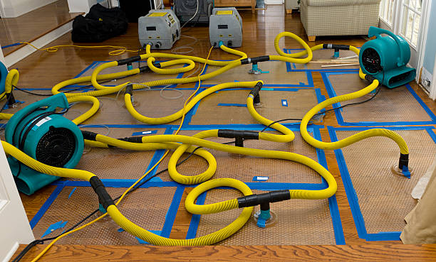Professional Water Extraction technician working in Steele, MO